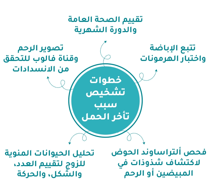 انفوجراف خطوات تشخيص سبب تأخر الحمل