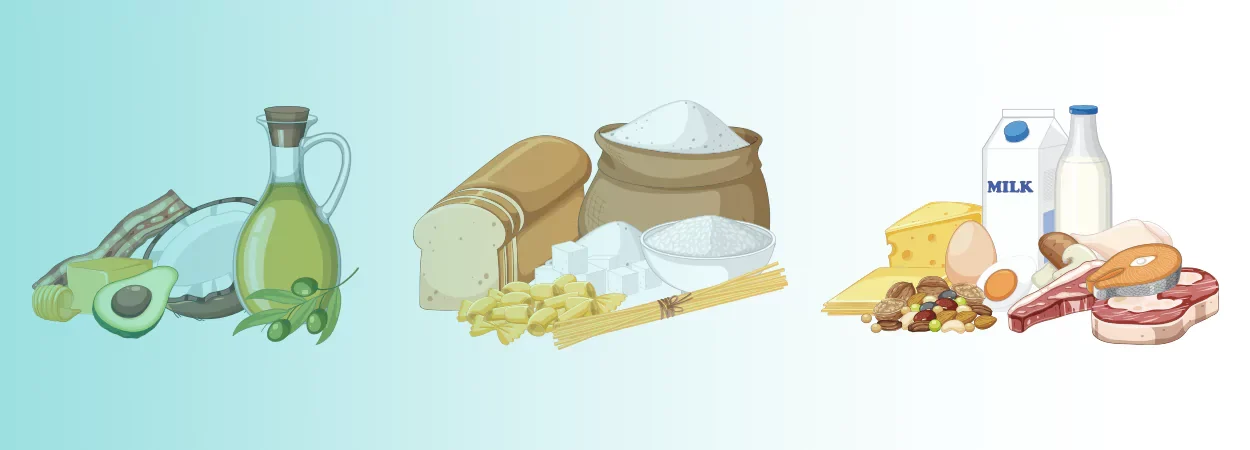 an illustration of foods representing diffrent macros: protein, carb and fat